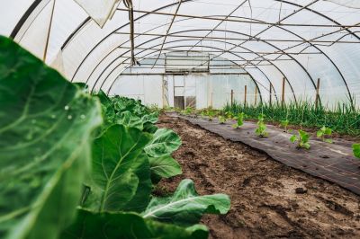 Greenhouse Installation