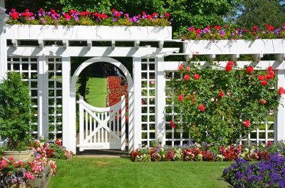 How Pergola And Arbor Installations Enhance Backyard Design