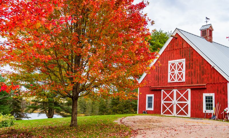 Pole Barn Service